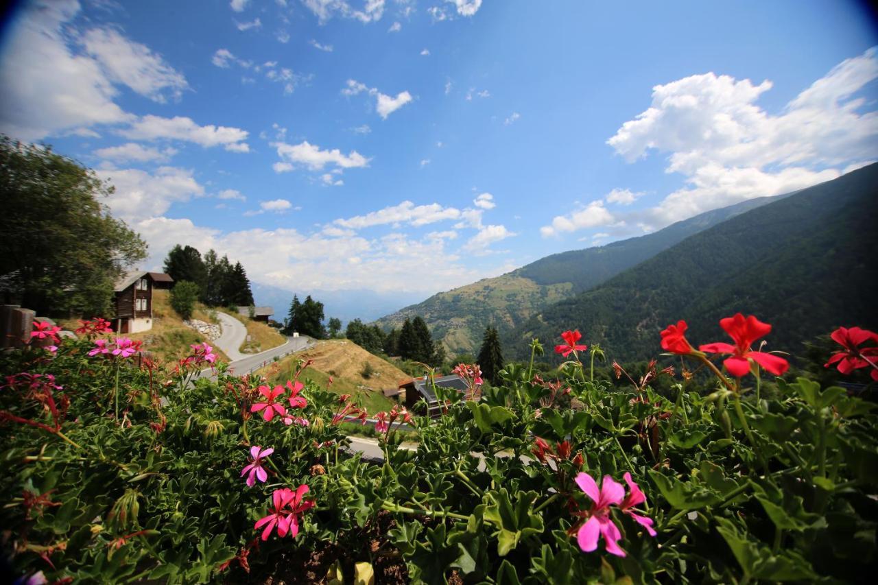 Bleusydyllique Bed and Breakfast Nendaz Exteriör bild
